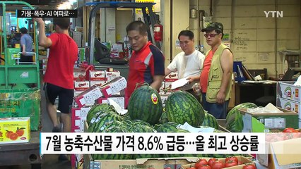 가뭄·폭우에 농축수산물 가격 8%대 '껑충' / YTN