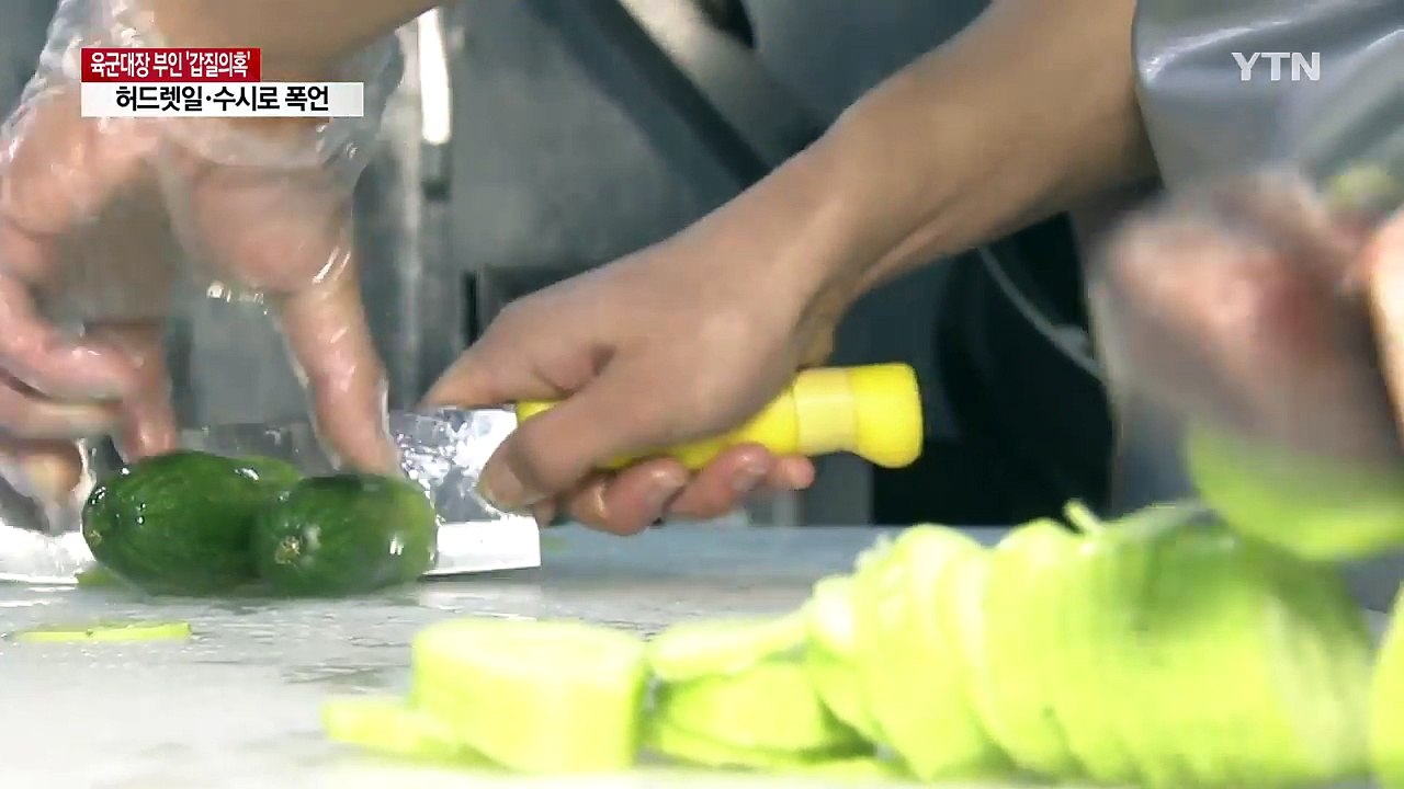 국방부, '부인 갑질' 의혹 육군 대장 감사착수 / YTN