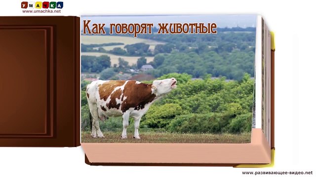 Video Niños para y diciendo sonidos de animales voz animales de la enseñanza desarrollar