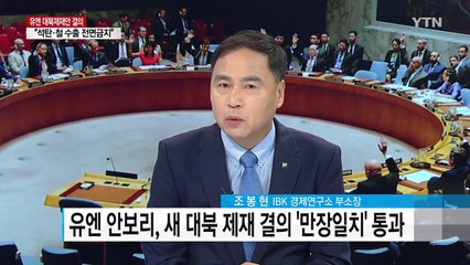 유엔 결의안 통과...실효성 어느 정도? / YTN
