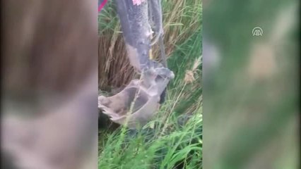 Denizli'de Kanala Devrilen Traktörün Sürücüsü Öldü