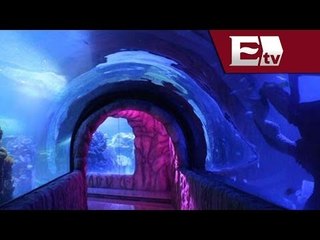 Primer acuario subterráneo en Latinoamérica abrirá el próximo 11 de junio en el DF / Comunidad