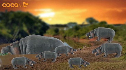 [EN] #29 Hungry hippo likes Whales, Fighting Animals for kids, Collecta figures [cocostoy]