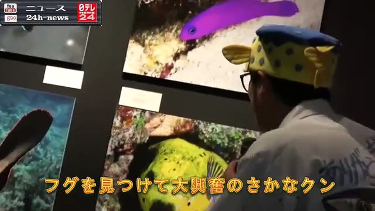 さかなクン　トレードマークのフグに大興奮｜ニュース 動画 News24h