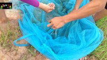 Fantastic Child and Four Beautiful Lady Cast Net Fishing How to cast net fish in Siem Reap