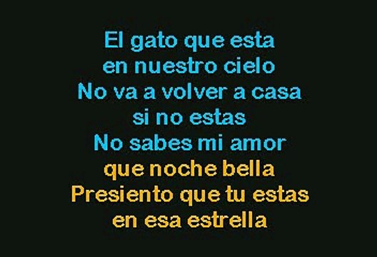 Roberto Carlos - Un Gato En La Oscuridad (Karaoke)