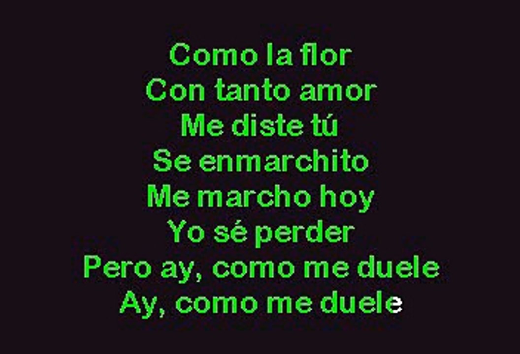 Selena - Como La Flor (Karaoke con voz guia)