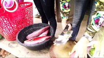 viral videos 2017 Beautiful girl Fishing, cooking, catching big fish How to make Fishing T