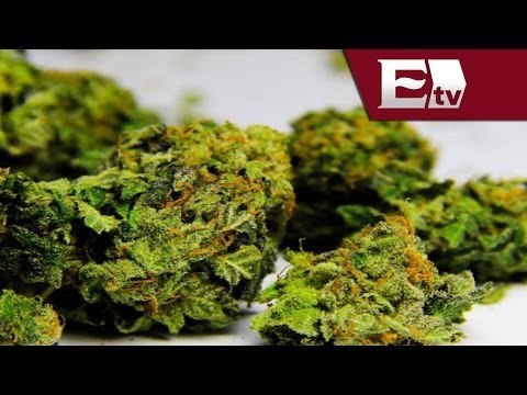 Decomisan 150 kilos de mariguana en Tepito / Excélsior informa