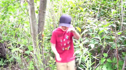 Centipede Attack Nightmare! Nerf Gun Battle with Wild Toy Bug Vs. Ethan and Cole in the Wo