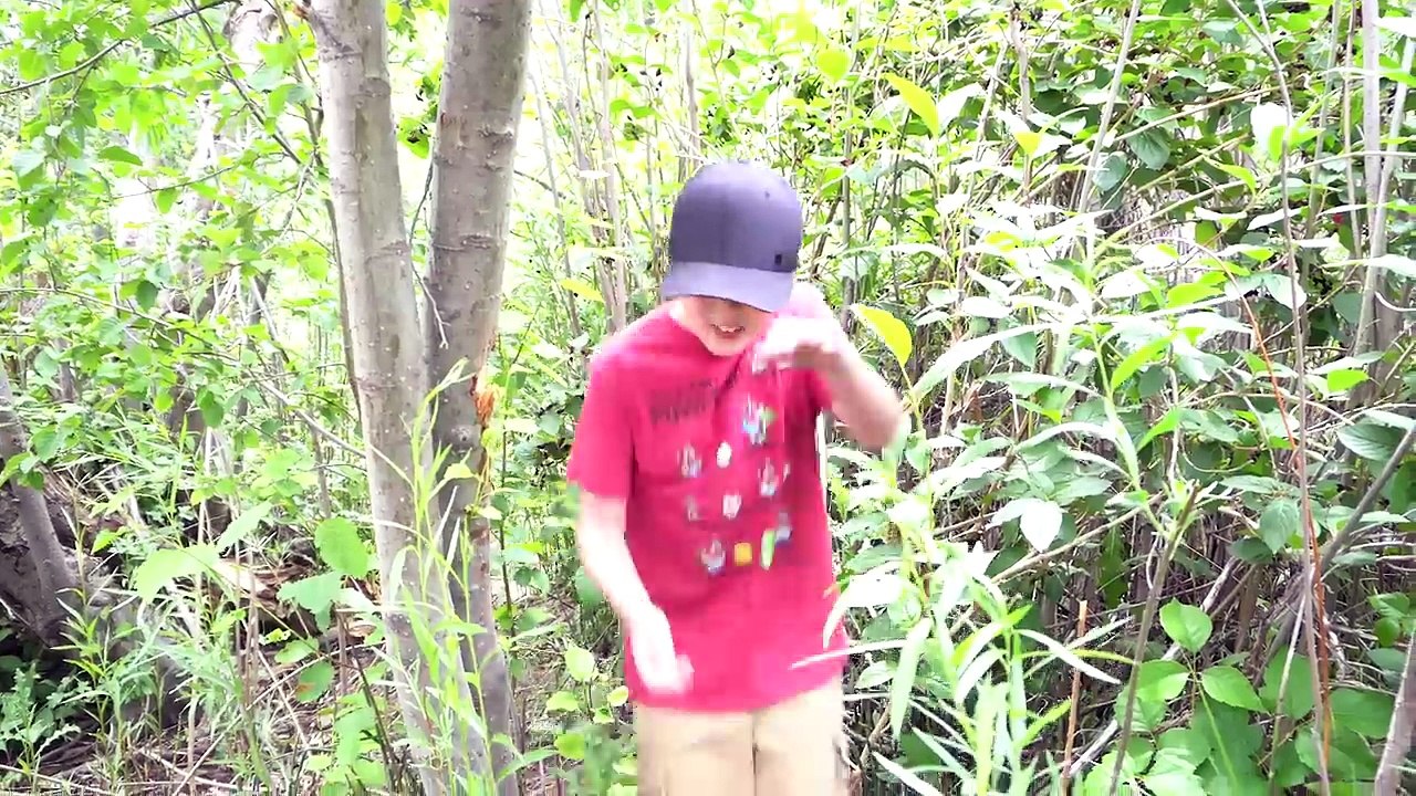 Centipede Attack Nightmare! Nerf Gun Battle with Wild Toy Bug Vs. Ethan and Cole in the Wo