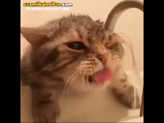 Kana kana su içmek istiyorum...Nerde o eski sokak Çeşme'leri?