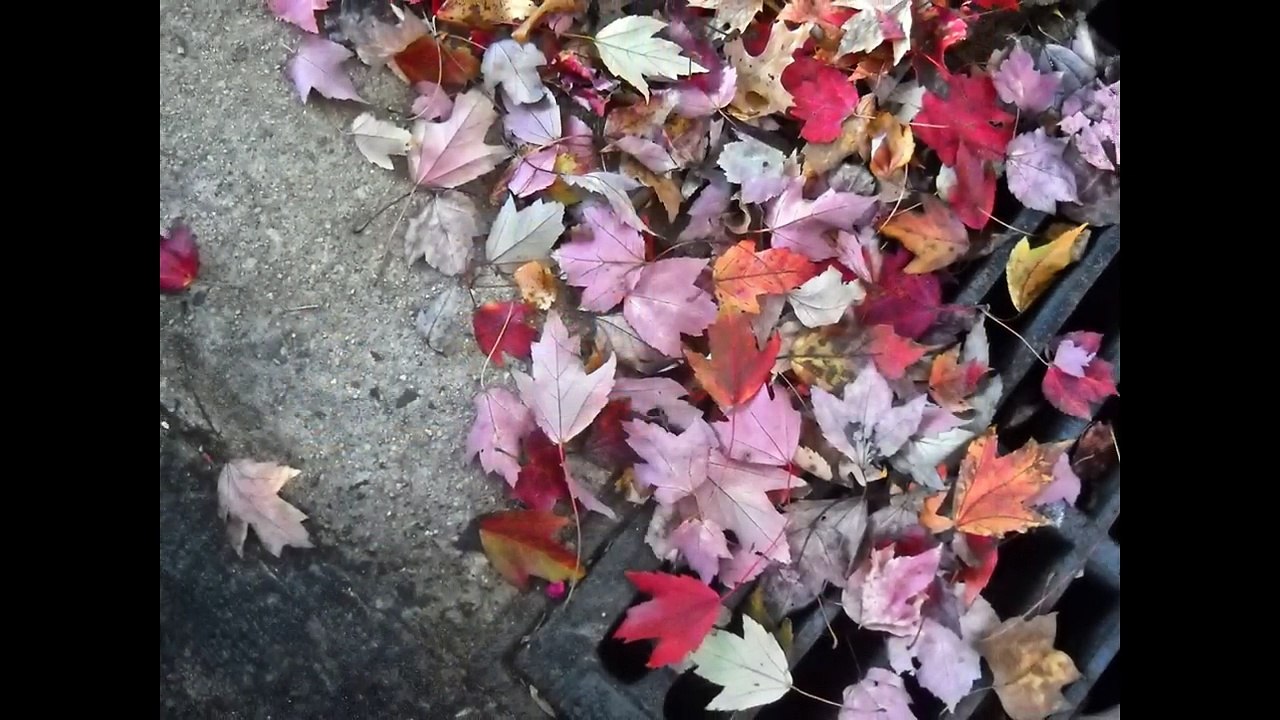 Αποφραξεις Σπάτα – 2106852718 – Apofraχeis Spata