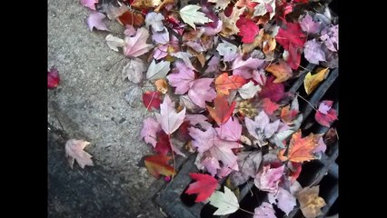 Αποφραξεις Περιστέρι – 6932862293 – Apofraχeis Peristeri