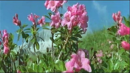 John Barry Dances with Wolves