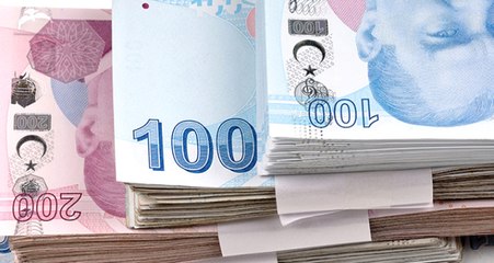 Kamu Kurumları, 17.4 Milyar Lira Kâr Etti