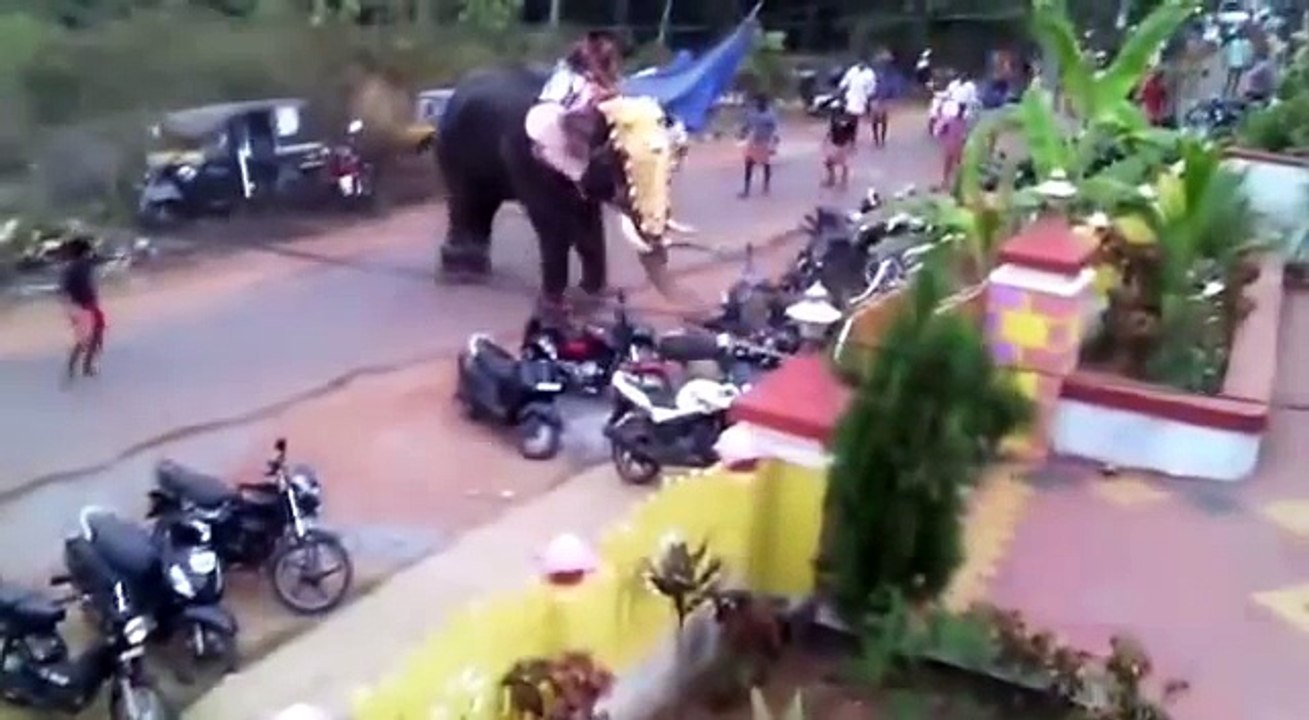 Elephant Attack in Indian _ KeralaTemple Festival 2017