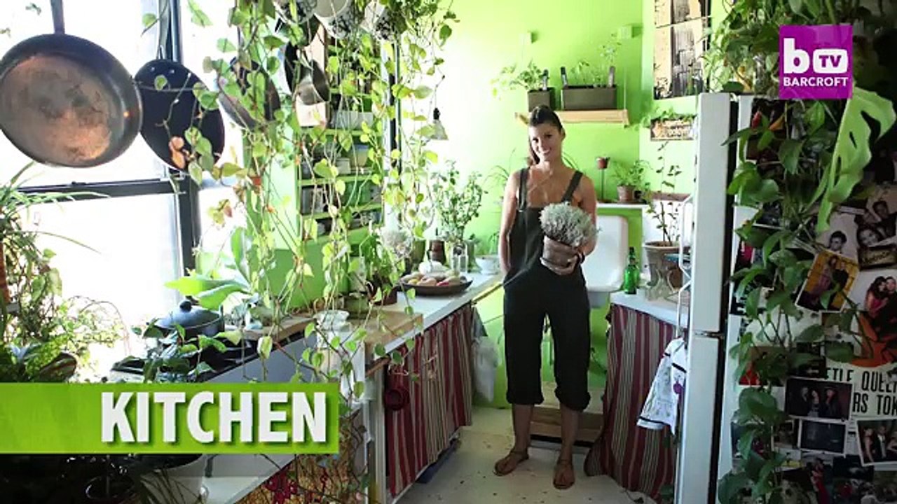 Growing A Jungle In My New York Apartment