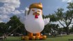 Un poulet à l’image de Donald Trump à côté de la Maison-Blanche