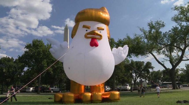 Un poulet à l’image de Donald Trump à côté de la Maison-Blanche