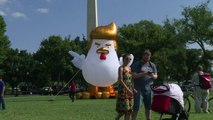 Un poulet géant à l'effigie de Trump près de la Maison Blanche