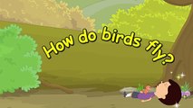Cómo hacer aves volar
