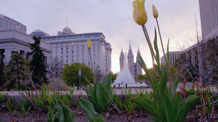 A soccer city unlike any other