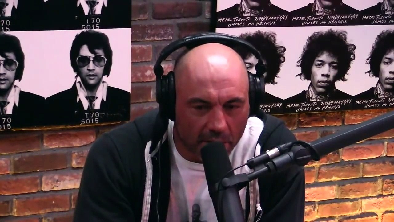 Jordan Peterson on Womens Studies (from Joe Rogan Experience #877)