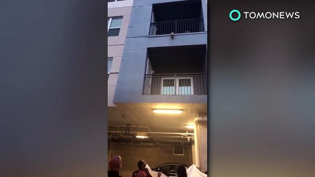 Sauvetage d'un chien bloqué sur un balcon