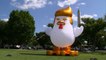 Giant inflatable 'Trump chicken' stares down the White House