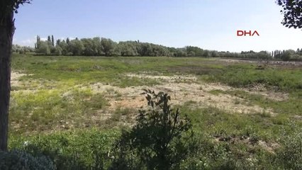 Ankara Yok Olan Kuş Cenneti Seyfe Gölü'nde 'Drenaj Kapakları Kapatılsın' Uyarısı