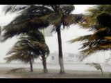 Activan alerta naranja por tormenta tropical 'Elida' en Guerrero