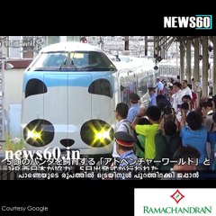 WATCH: Cute panda train gets rolling in Japan