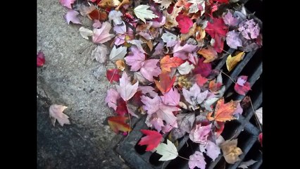 Αποφραξεις Παλλήνη – 2106852718 – Apofraχeis Pallini