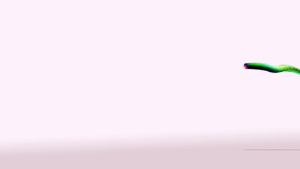 BMW Pharmaco India Pvt Ltd