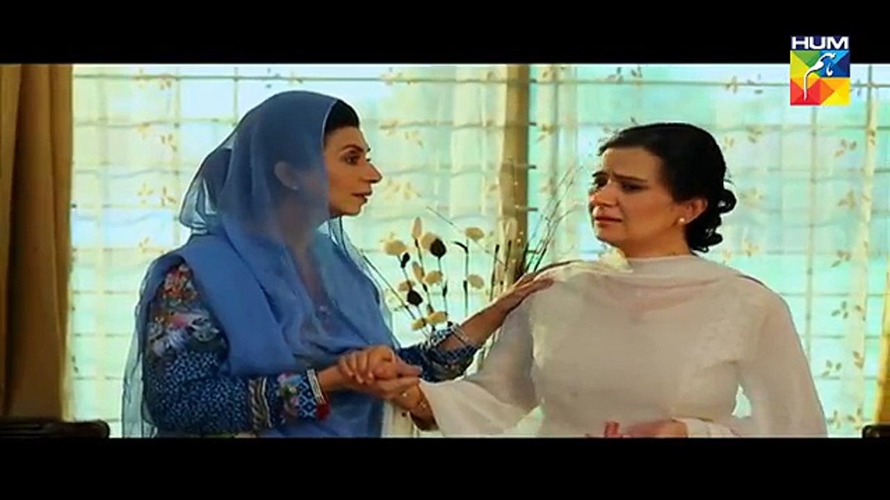 Adhi Gawahi Episode 11 HUM TV Drama - 9 August 2017(360p)