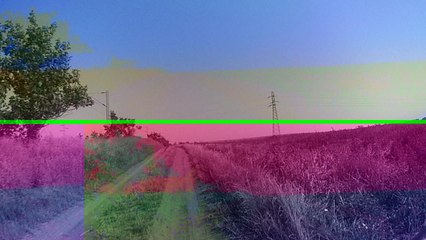 Eken A8 Action Camera Test in forest part 1