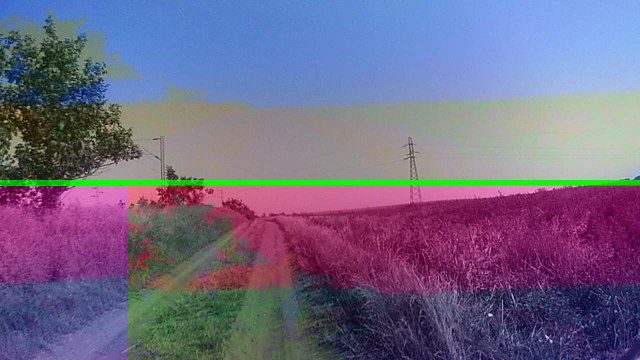 Eken A8 Action Camera Test in forest part 1