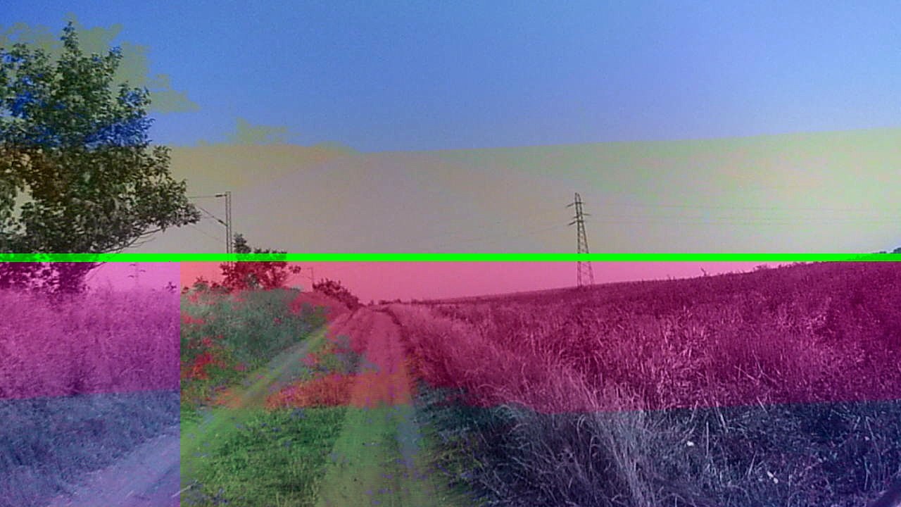 Eken A8 Action Camera Test in forest part 1