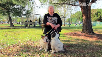 What We Learn From Our Pets ~  SoulPancake Street Team