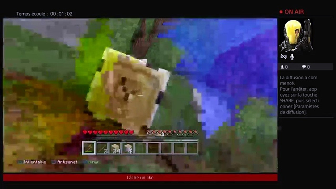 Minecraft avec un pote (6)
