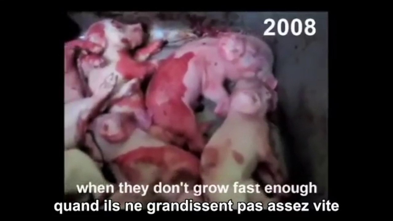 Le discours le plus important de votre vie 1/2