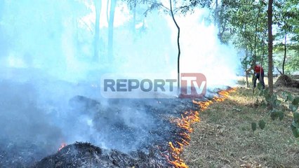 Report TV - Tiranë, zjarr te kodrat e Liqenit Artificial