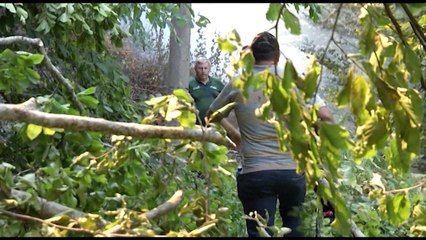 Download Video: VIJON BETEJA ME FLAKET NE DISA ZONA TE VENDIT, 11 VATRA ZJARRI, NE JUG NDERHYJNE AVIONET GREK LAJM