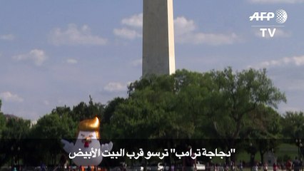"دجاجة ترامب" ترسو قرب البيت الأبيض