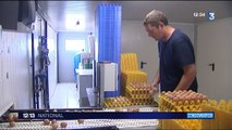 Les aviculteurs tentent de rassurer après le scandale des oeufs contaminés