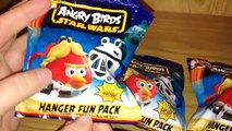 Blind Bag Mystery 030 Angry Birds Star Wars Hanger Fun Pack Mini Figure   Stickers