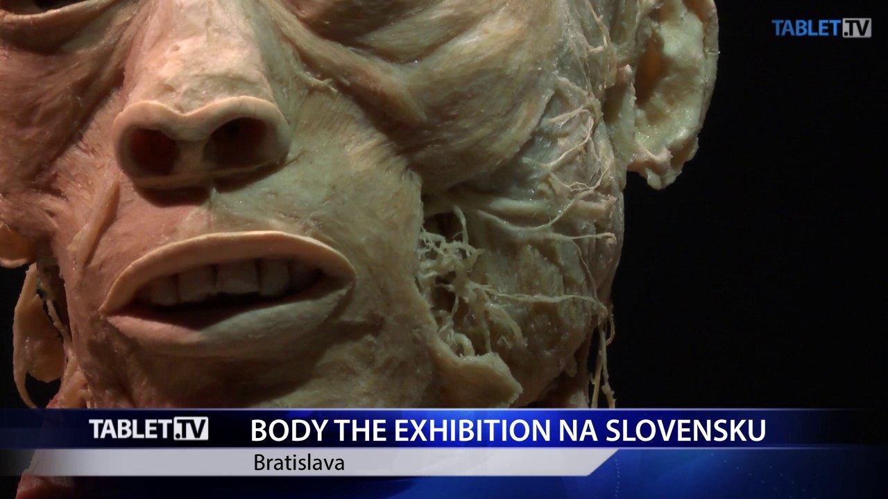 BODY THE EXHIBITION