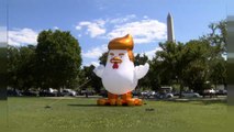 پرواز خروس بادکنکی شبیه دونالد ترامپ در اطراف کاخ سفید