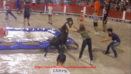 Milhaud-Petit Veau-Toro piscine-30/07/2017-Félix